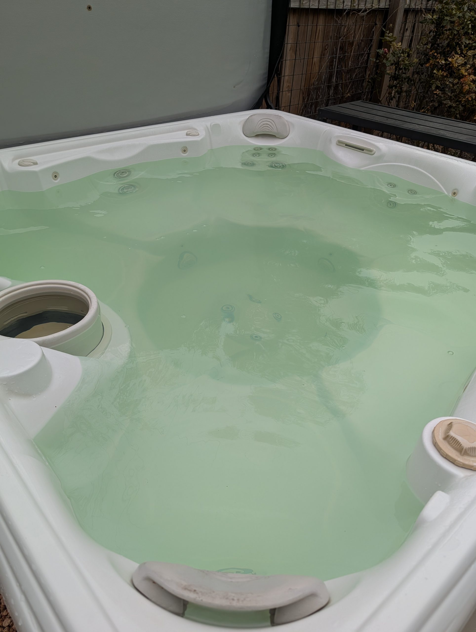 PXL_20260203_155437292.MP