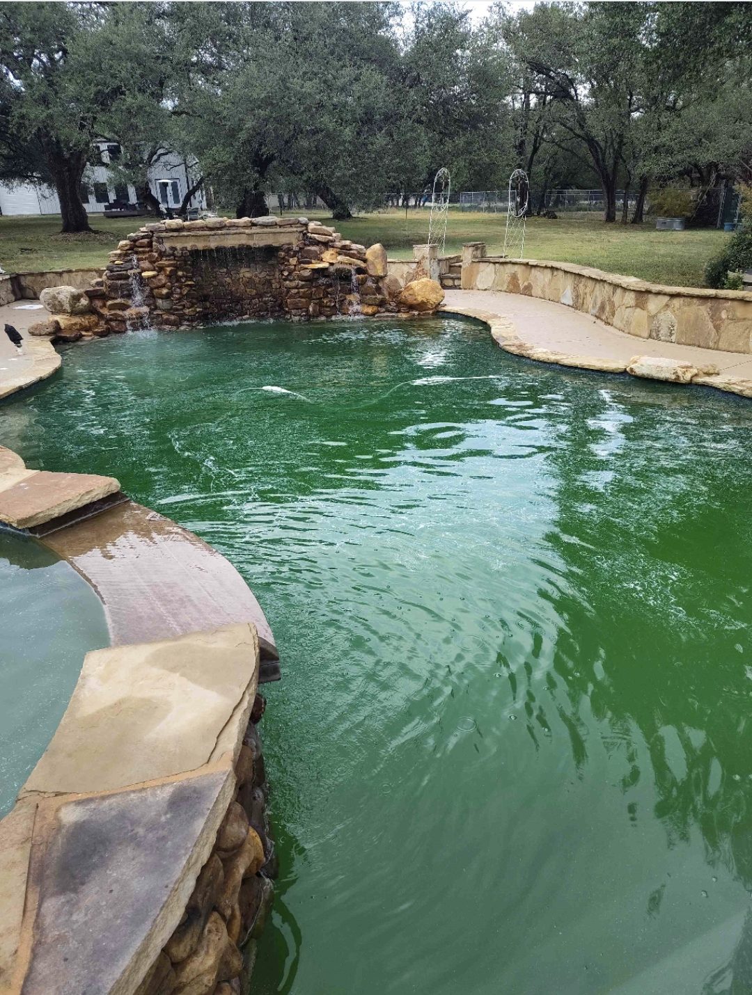 Screenshot_20260124_172630