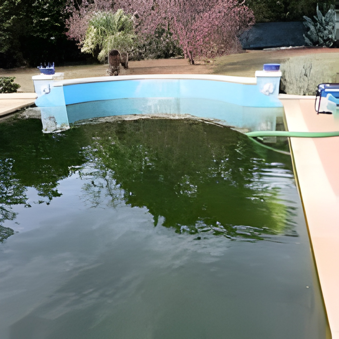 Untitled design (46)