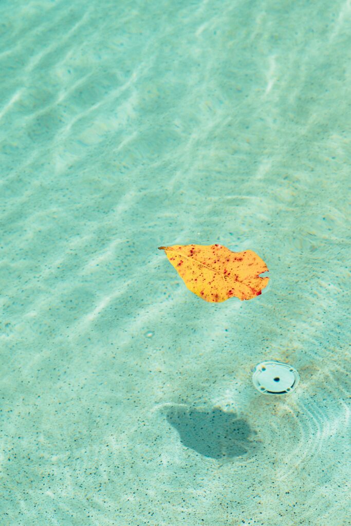Falling leaves from Oak and Pecan trees ruin pool chemistry and stain plaster. Learn how our Austin pool cleaning service prevents tannin damage.